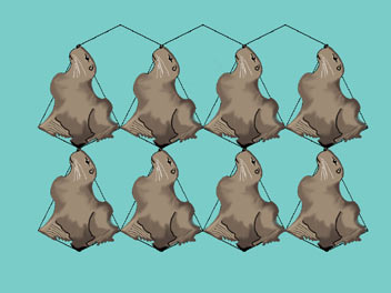 seals and sea lions tessellate in this do-it-yourself art lesson