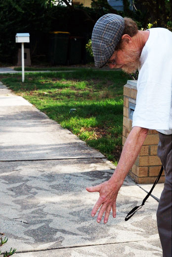 mirror-image kangaroo tessellation