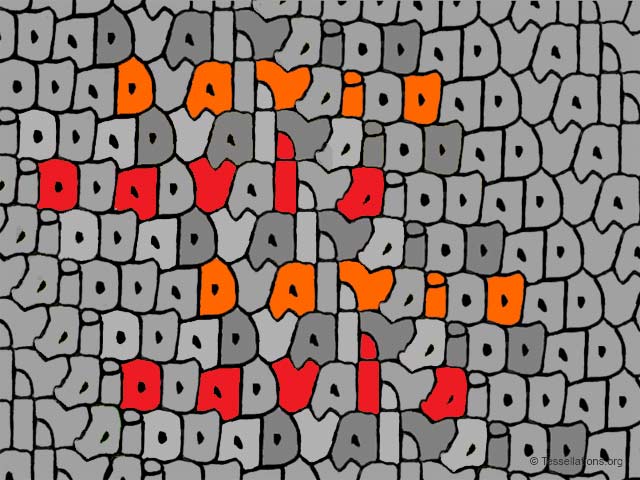david.jpg