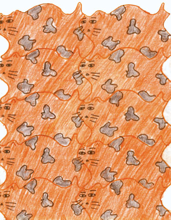 copy cat tessellation