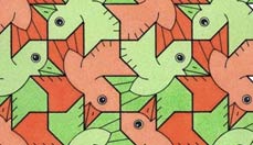 copy cats. This is the tessellation pattern that was copied from David Bailey